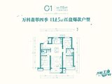 万科翡翠四季_3室2厅2卫 建面115平米