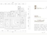 天一仁和吾疆_4室2厅3卫 建面225平米