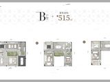 海棠故事_B户型 建面515平米